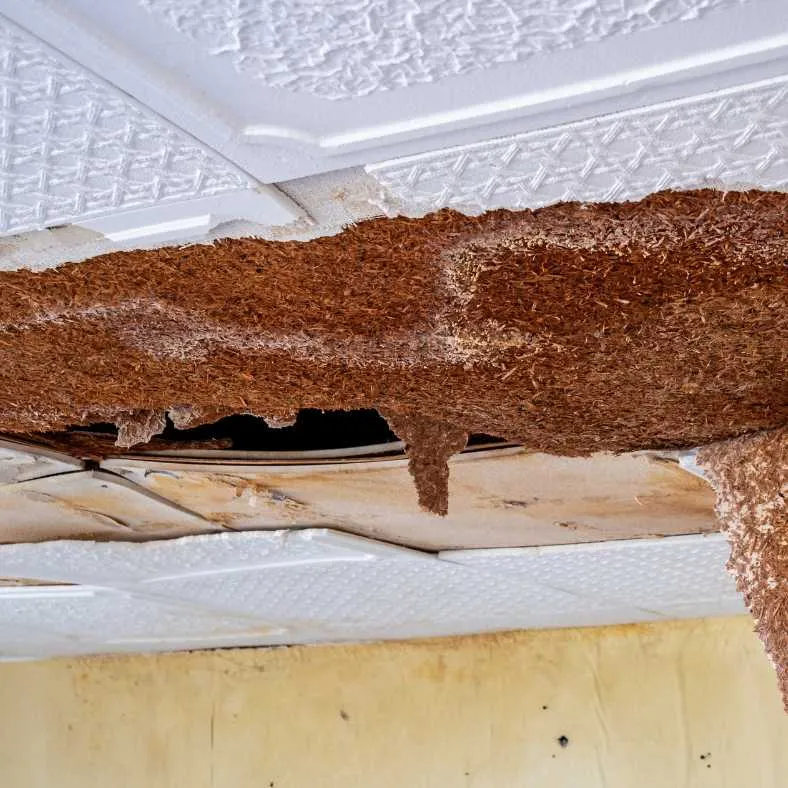 fuite d'eau dans une maison à mérignac