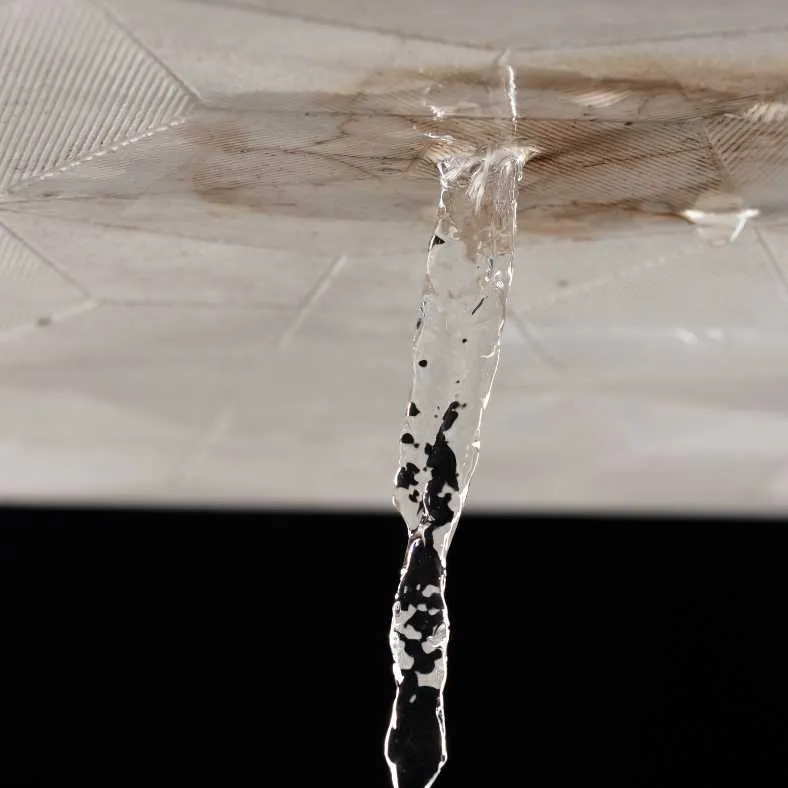 fuite d'eau sur un plafond
